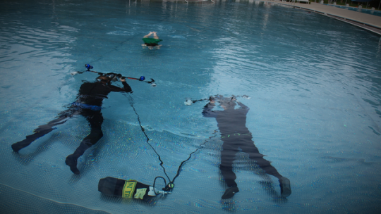 Unterwasserfotografie mit Tauchschule Hattenbach - Foto: © Martin Lehmann