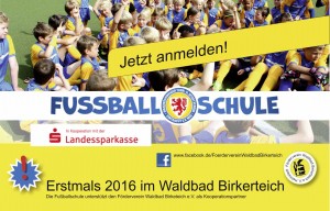 Fußballschule im Waldbad Helmstedt 2016