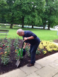 Karl Heinz Broska setzt neue Rosen
