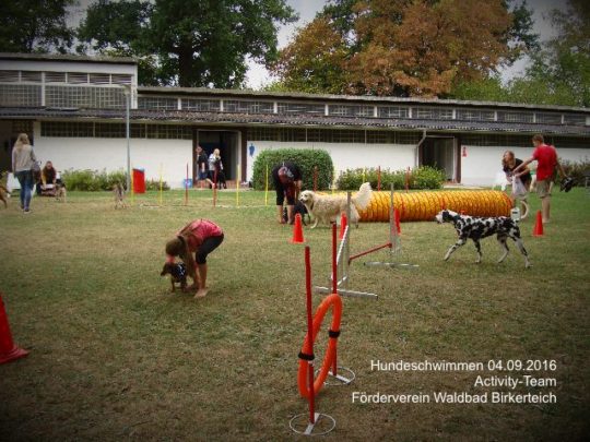 Hundeschwimmen im Waldbad Birkerteich