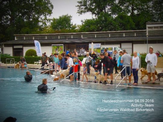 Hundeschwimmen im Waldbad Birkerteich